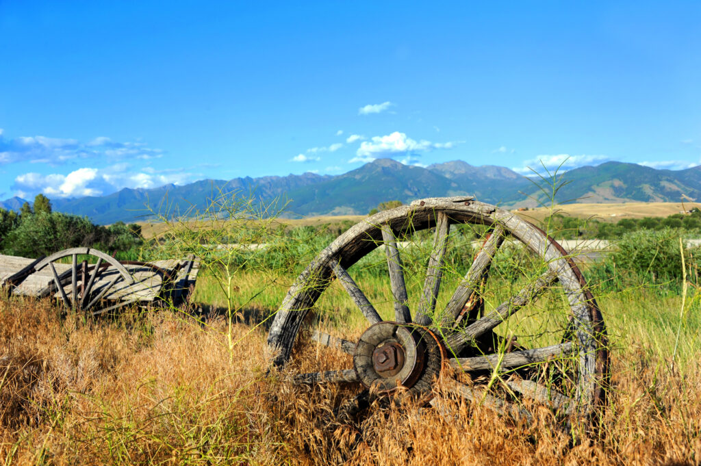 Montana Nature Wagon Wheel